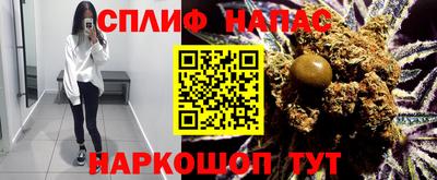 эйфоретик Малгобек