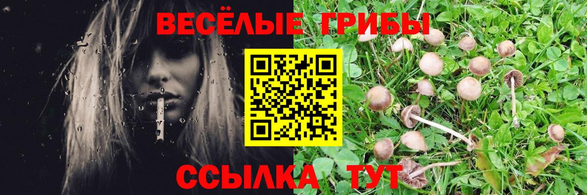 Галлюциногенные грибы мухоморы  Вход с VPN  Тольятти 