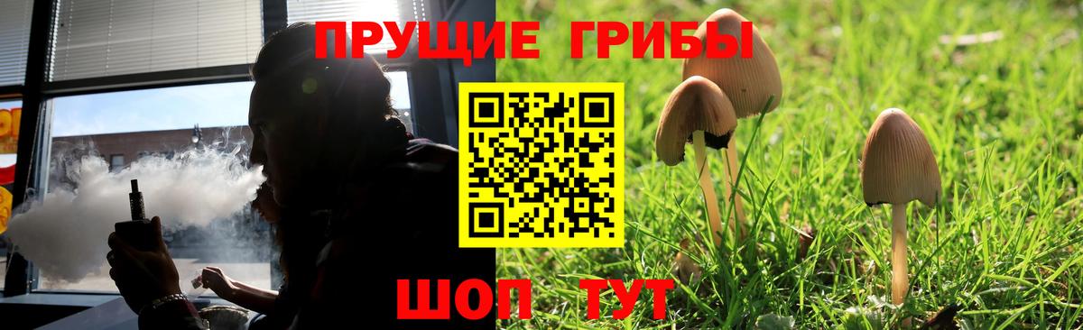 Псилоцибиновые грибы мухоморы Тольятти
