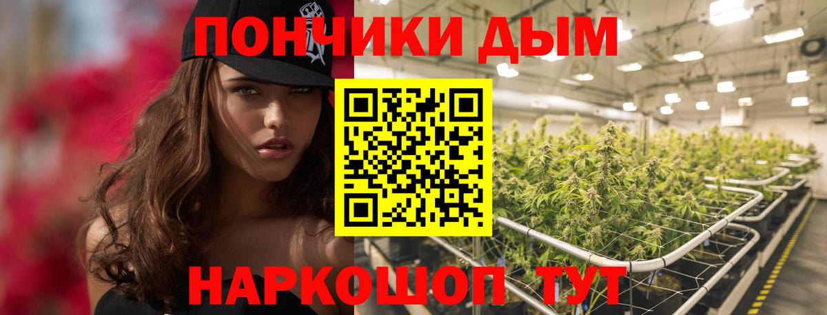 Тольятти  Бошки марихуана сатива  Бошки Шишки планчик  Марихуана MAZAR  Вход с VPN  Каннабис сатива 